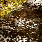 photo_2943732