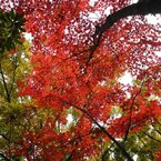 春日公園にて
