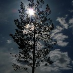 P1040153