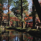 平林寺の秋模様