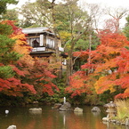 八坂神社の付近　庭園にて