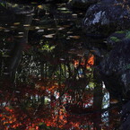 本土寺にて。。。１６