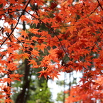 2013 教林坊 06