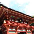 鶴岡八幡宮