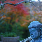 東慶寺の秋 03