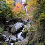 紅葉（大荒の滝Ⅱ）