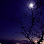 Moonlight