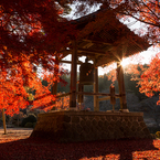 金蔵院 鐘撞き堂-Ⅱ