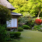 古寺の彩り　5