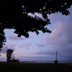 good morning waikiki