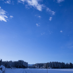 winter_4