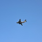 海上自衛隊航空隊