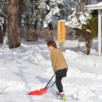 雪の妖精