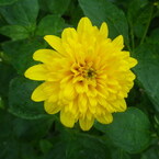 IMGP2096