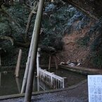 爪の痕