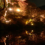 古都京都