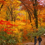 紅葉浴♪♪♪