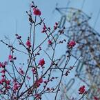Ｍ公園にて003