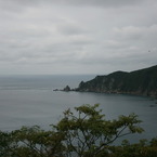 野間岬