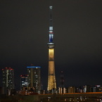 SKYTREE as Gold Medal