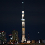 SKYTREE as Brun Chocolat