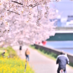 鶴見川