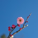 【楠玉】20140216