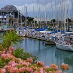 City of Sails