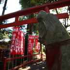 神使 - 4