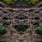 「四季」Natural beauty psychedelic　4