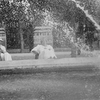 paris 1987    /13