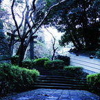 石垣の参道