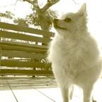 アシタヲミツメル