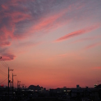 昨日の夕焼け