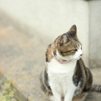 モデル気分②