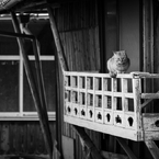路地にて