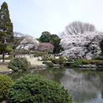 P1090088