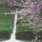 放水