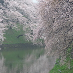 雨上がりの朝