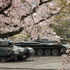 主役は桜