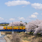 spring scenery