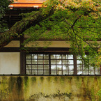 gallery05