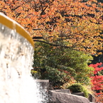 水　場