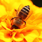 出れない！誰かだしてぇ～(>_<)