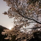 月の出