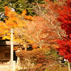 極楽寺山