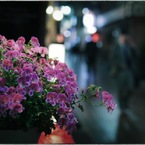 Nakano at Night #05