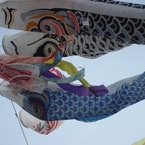 空を泳ぐ