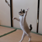 え～～～い！