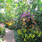 牧野植物園